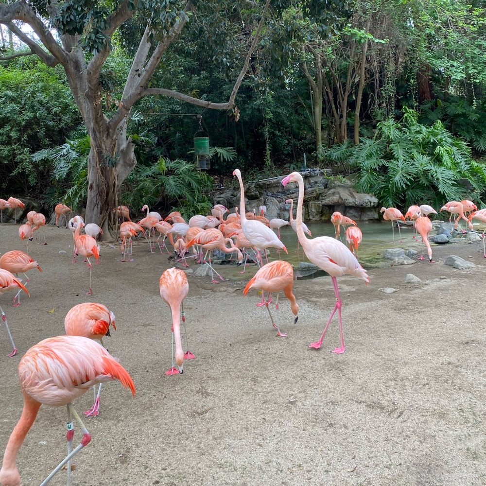 Meet your Posher, Priscilla